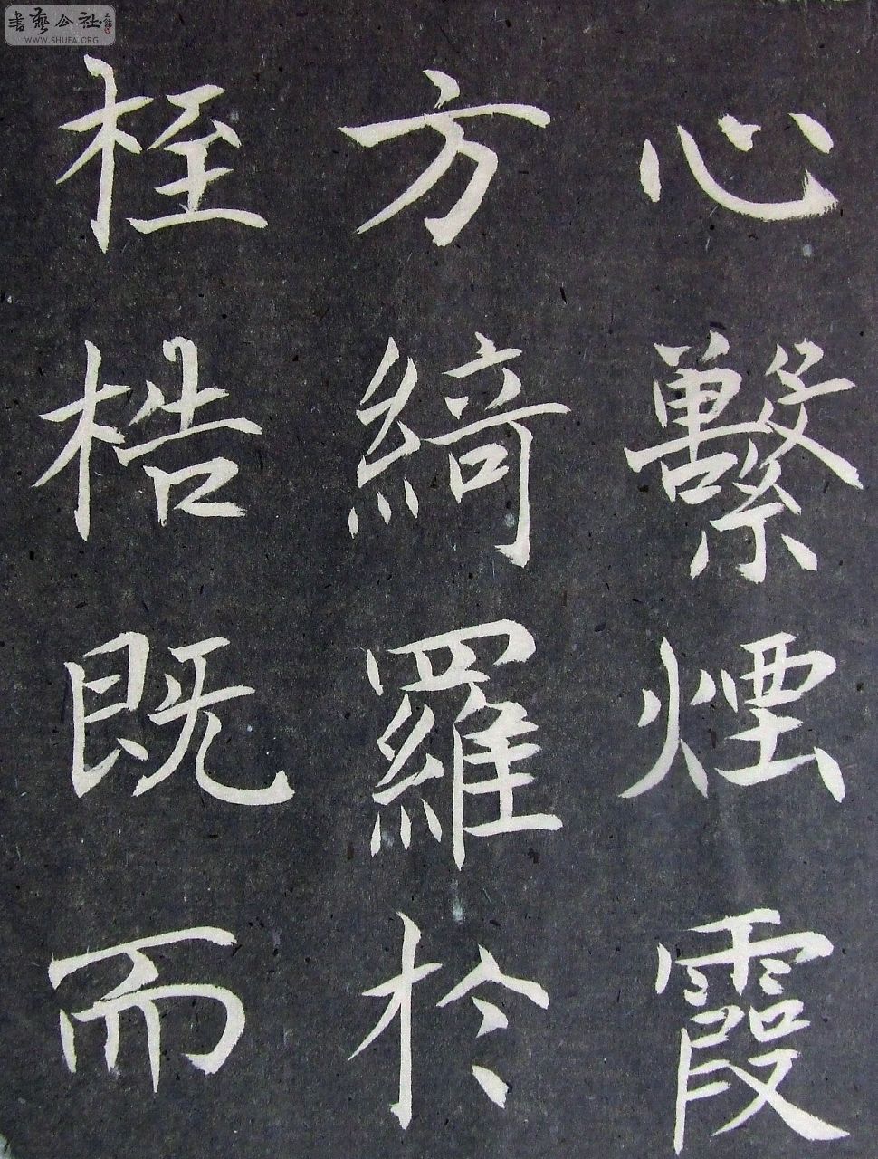 DSCF9191.JPG