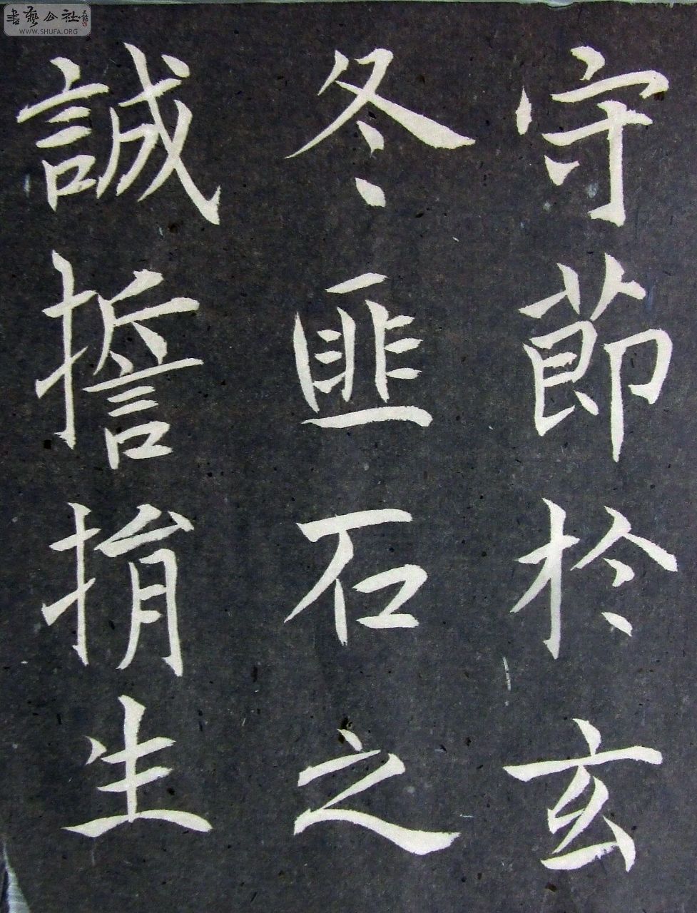 DSCF9195.JPG