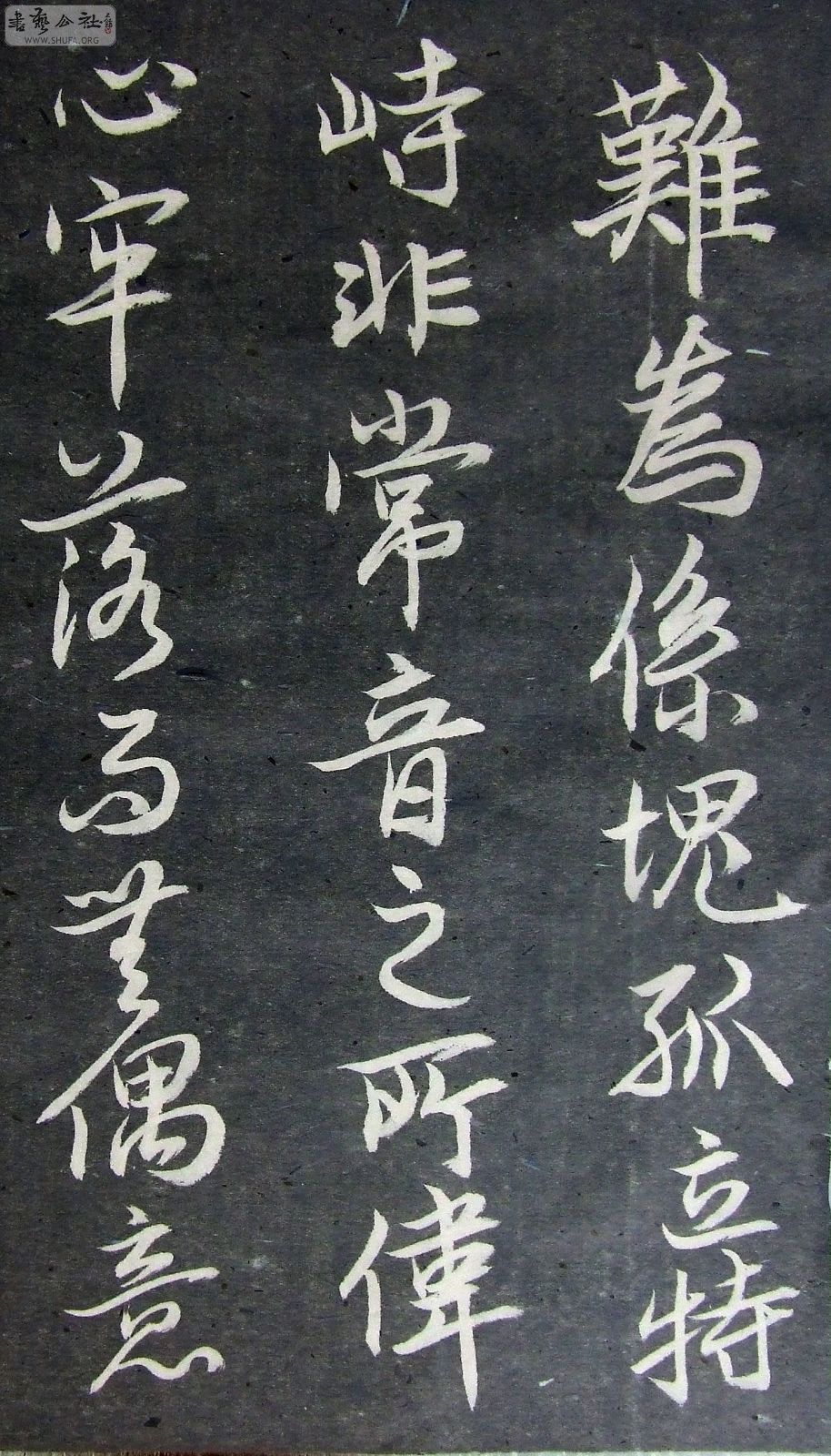 DSCF9204.JPG