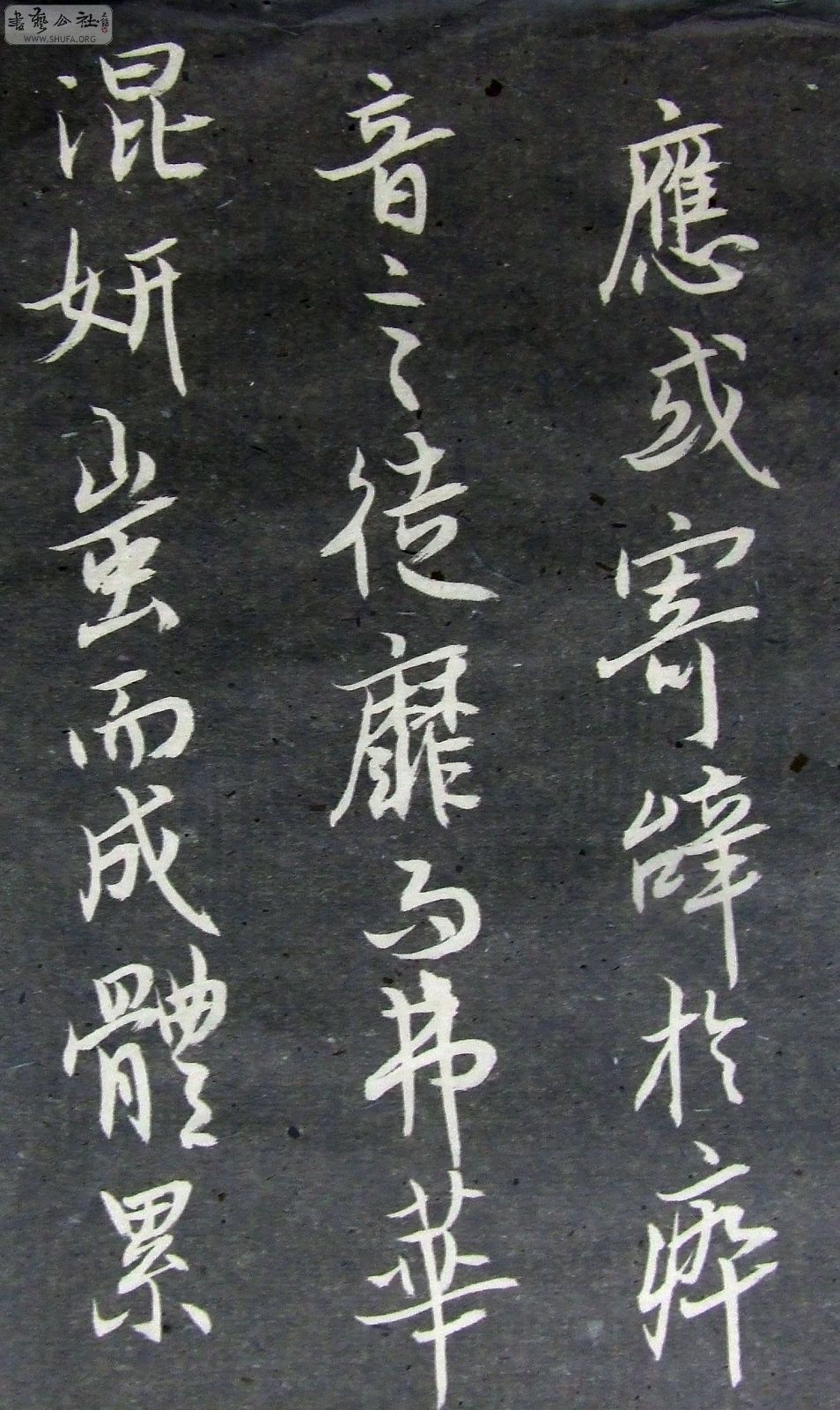 DSCF9209.JPG
