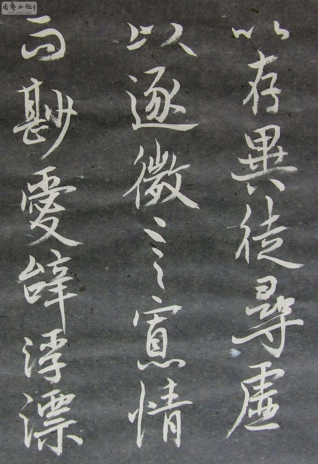 DSCF9214.JPG