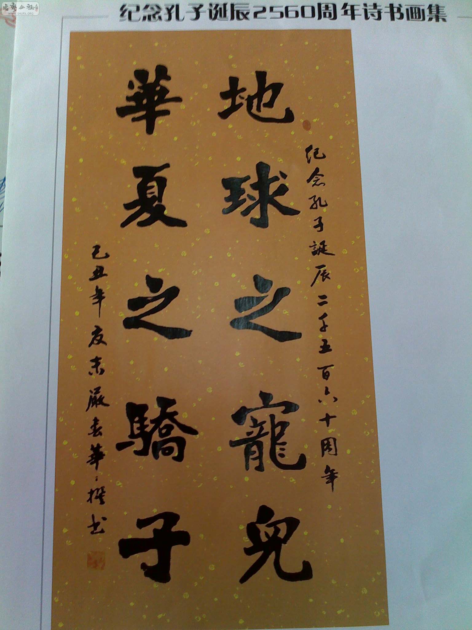20100315079.jpg