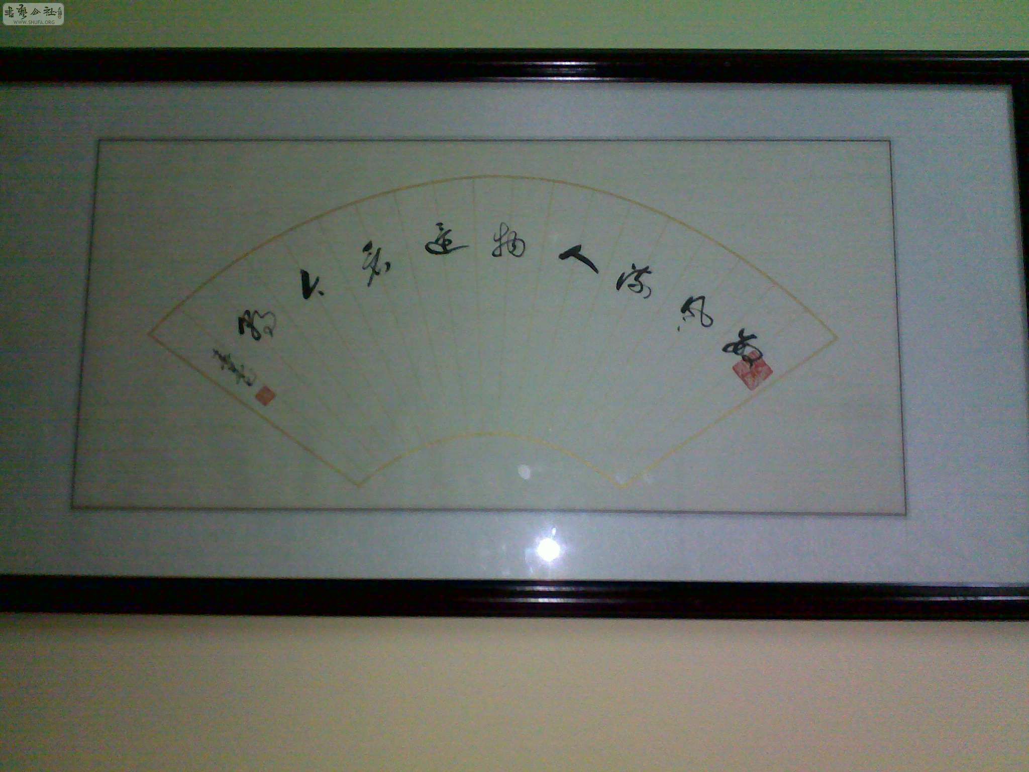 20100315102.jpg