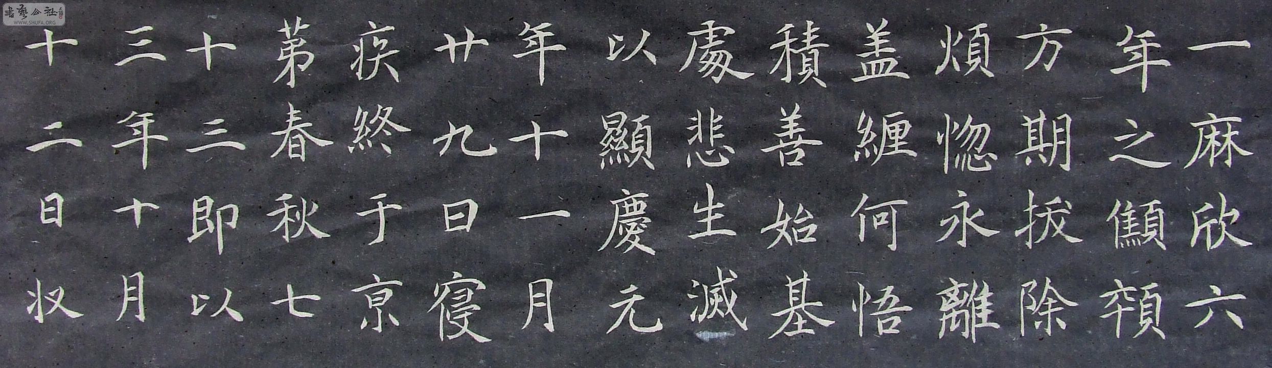 DSCF9242.JPG