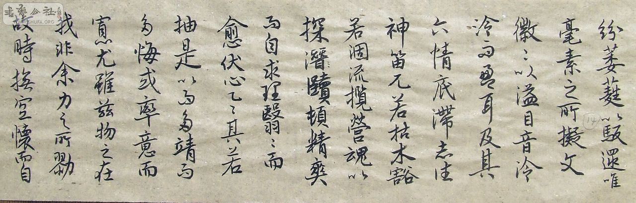 DSCF9239.JPG