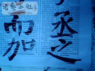 IMG0146A.jpg