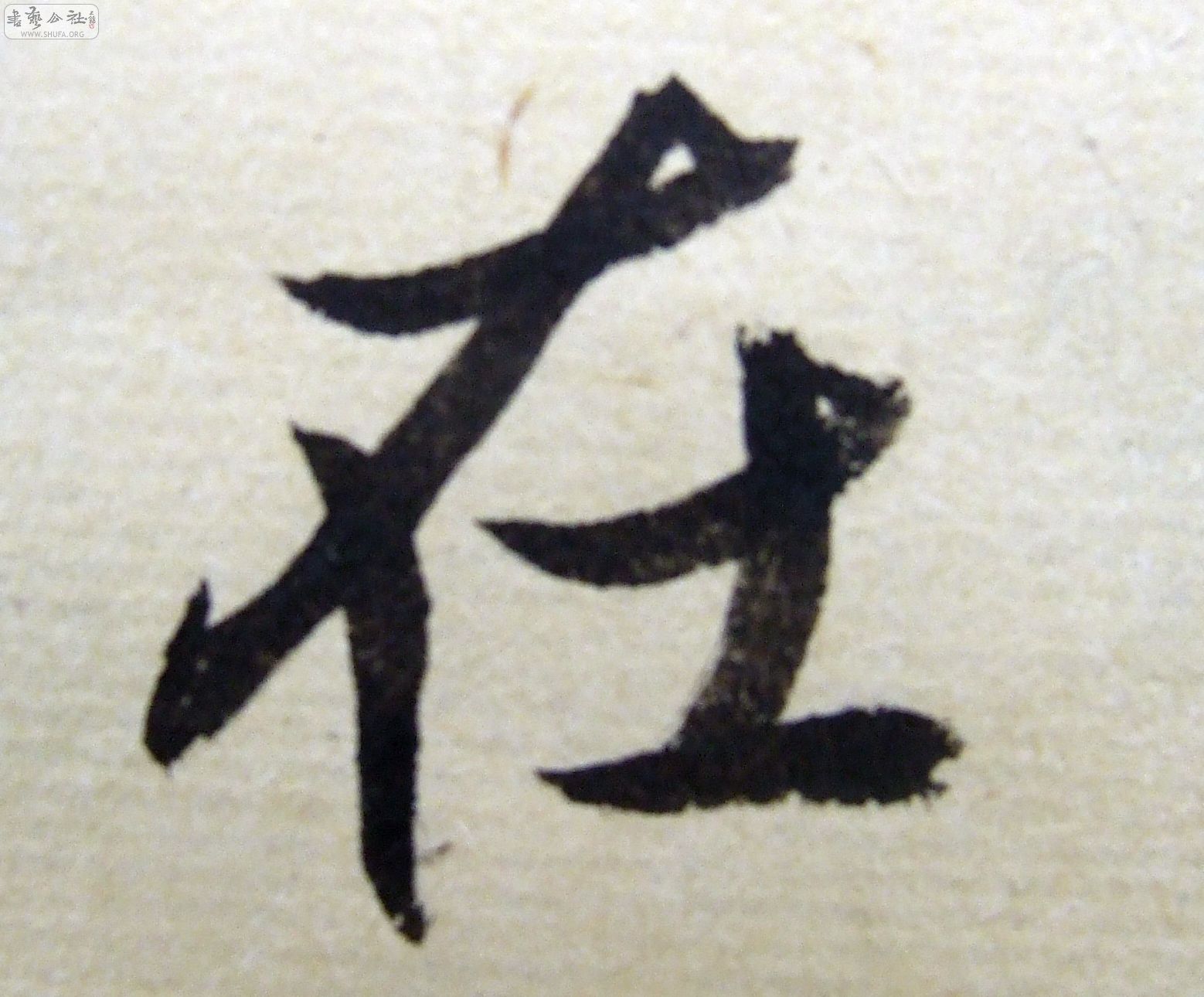 DSCF9288.JPG