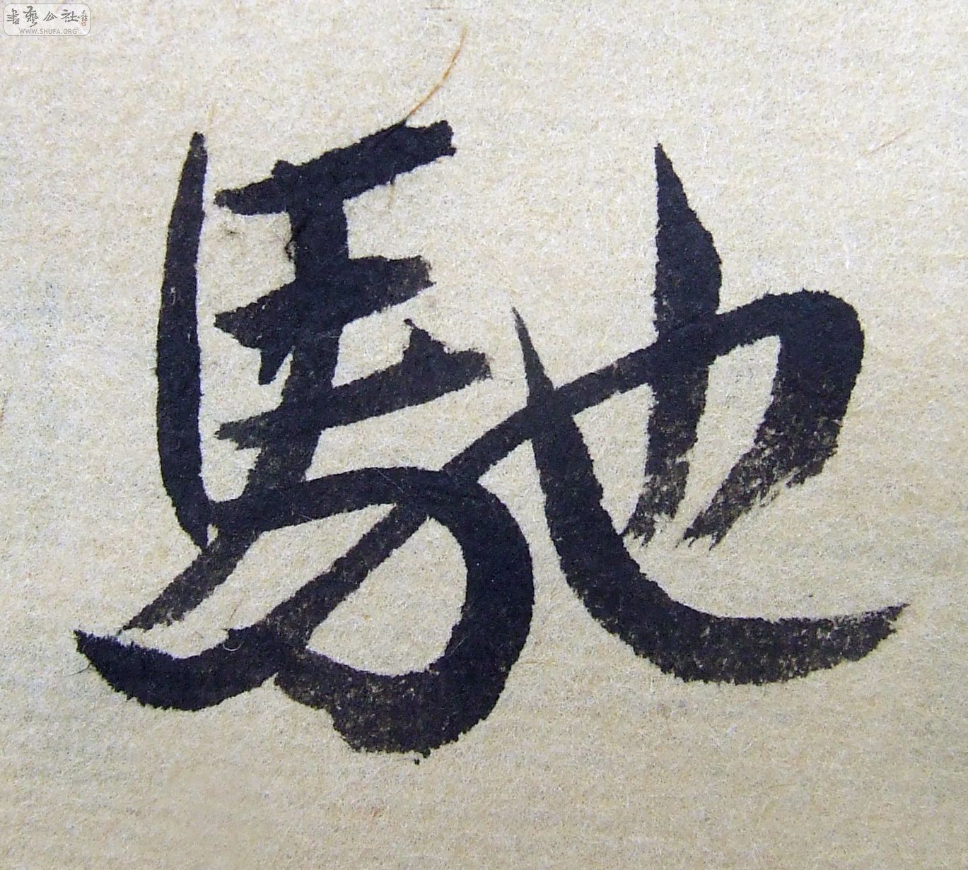 DSCF9289.JPG