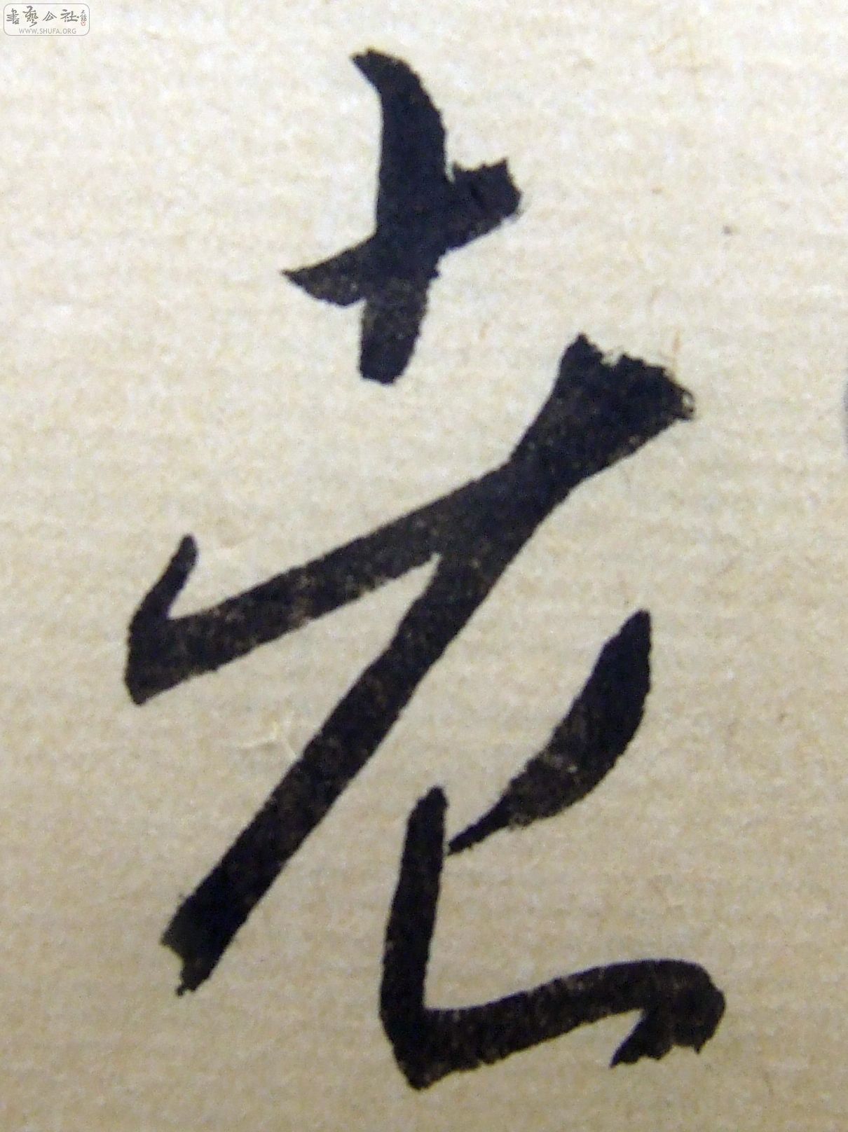 DSCF9300.JPG