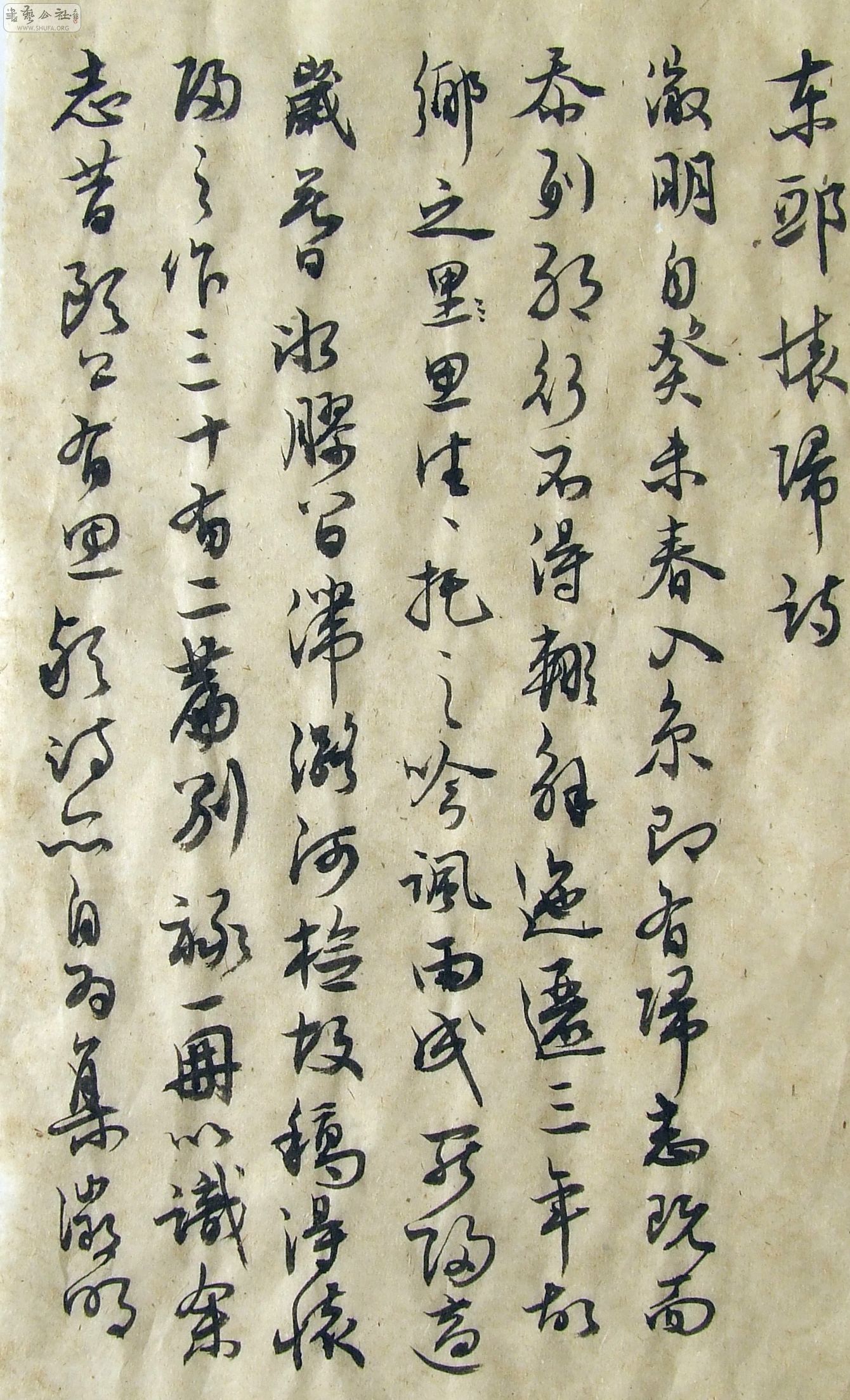 DSCF9338.jpg