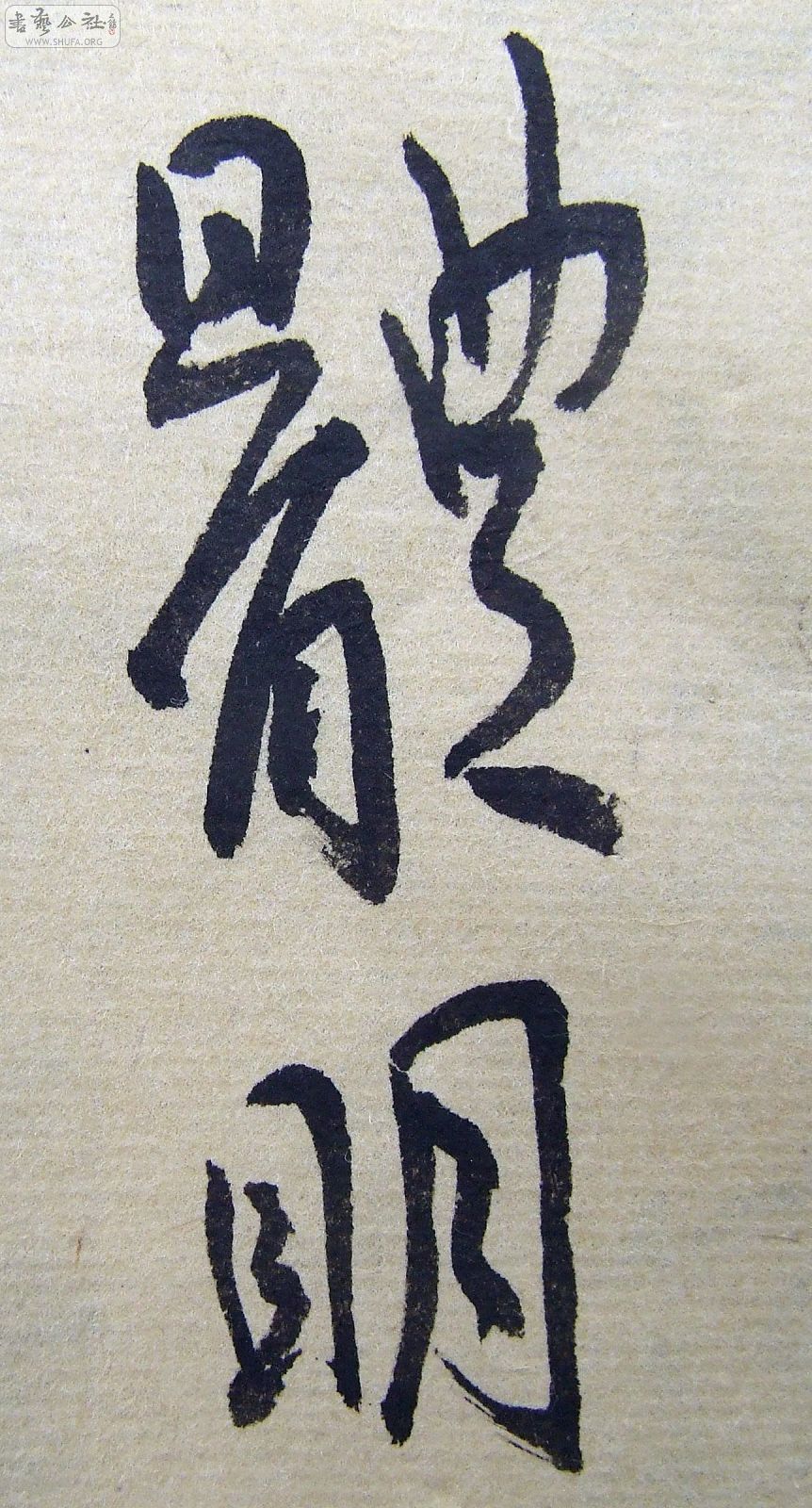 DSCF9281.JPG