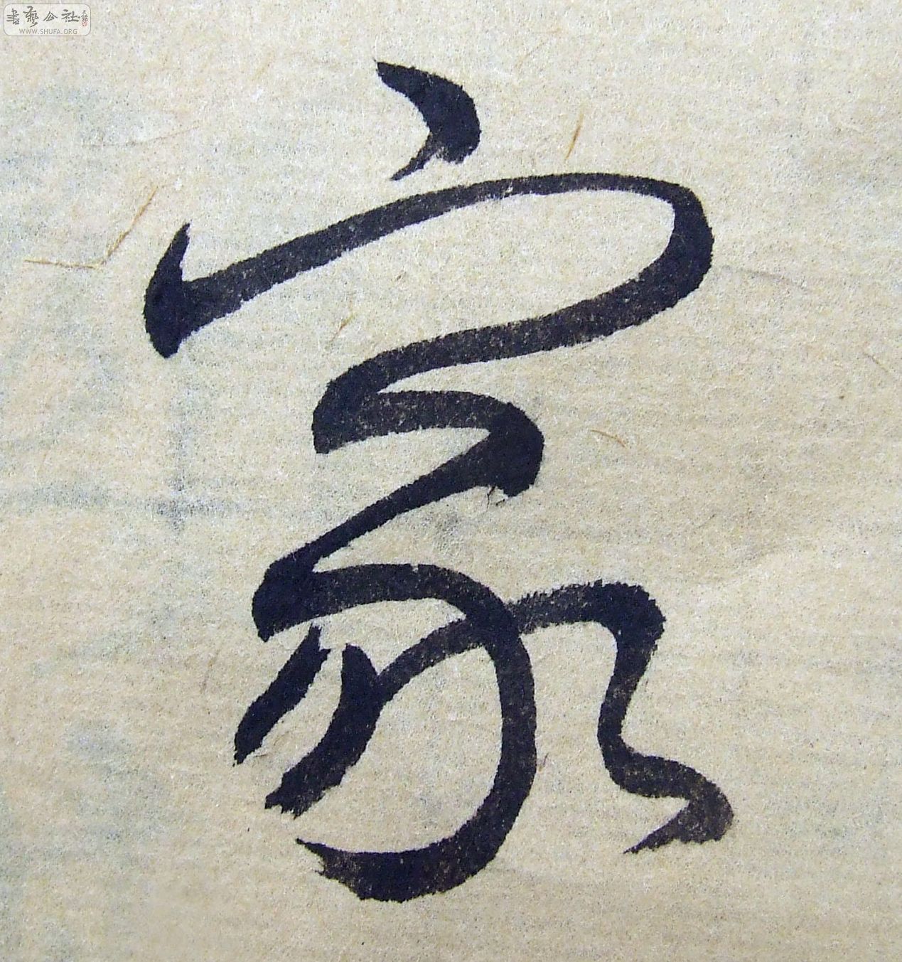 DSCF9292.JPG