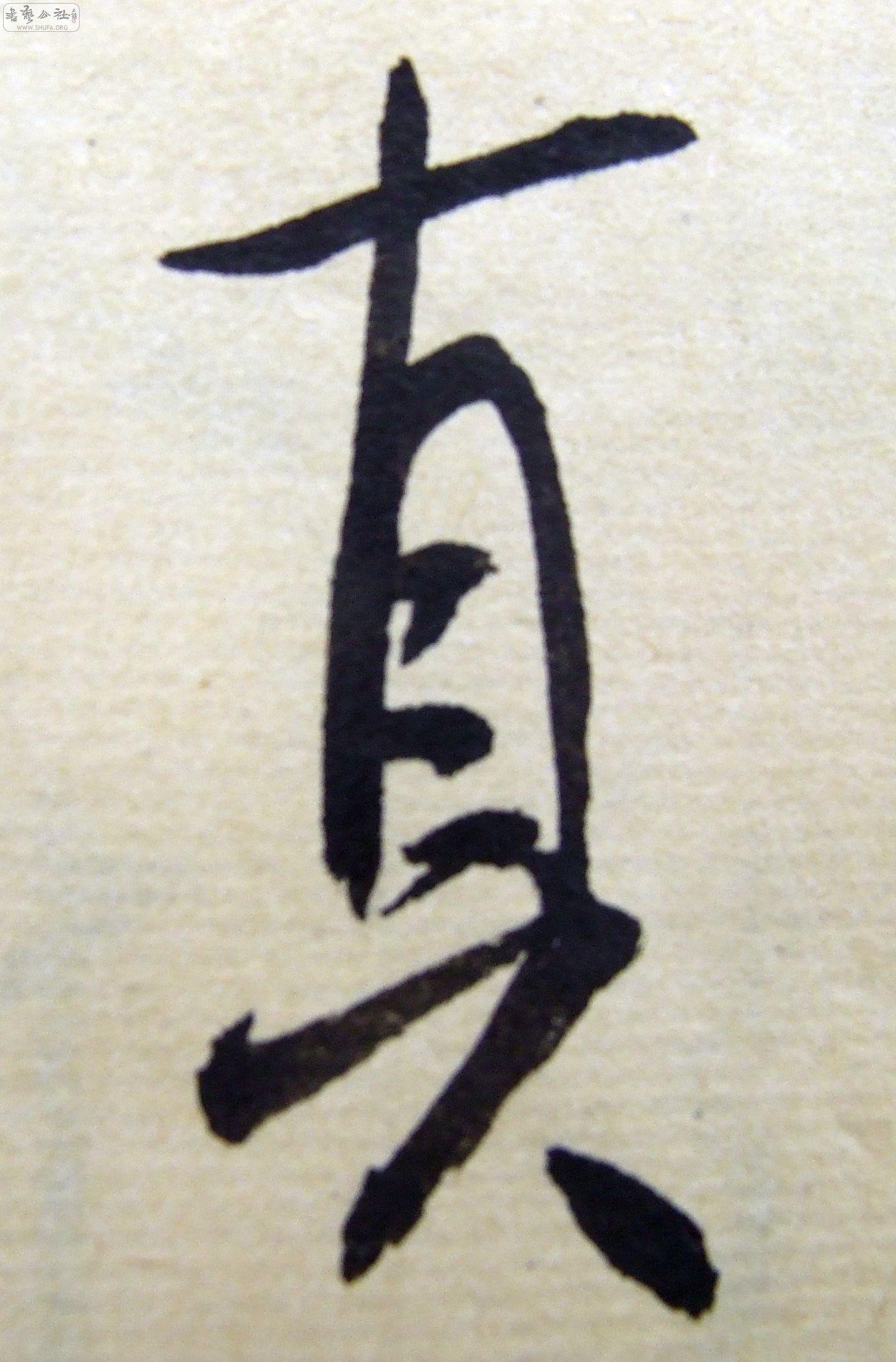 DSCF9286.JPG