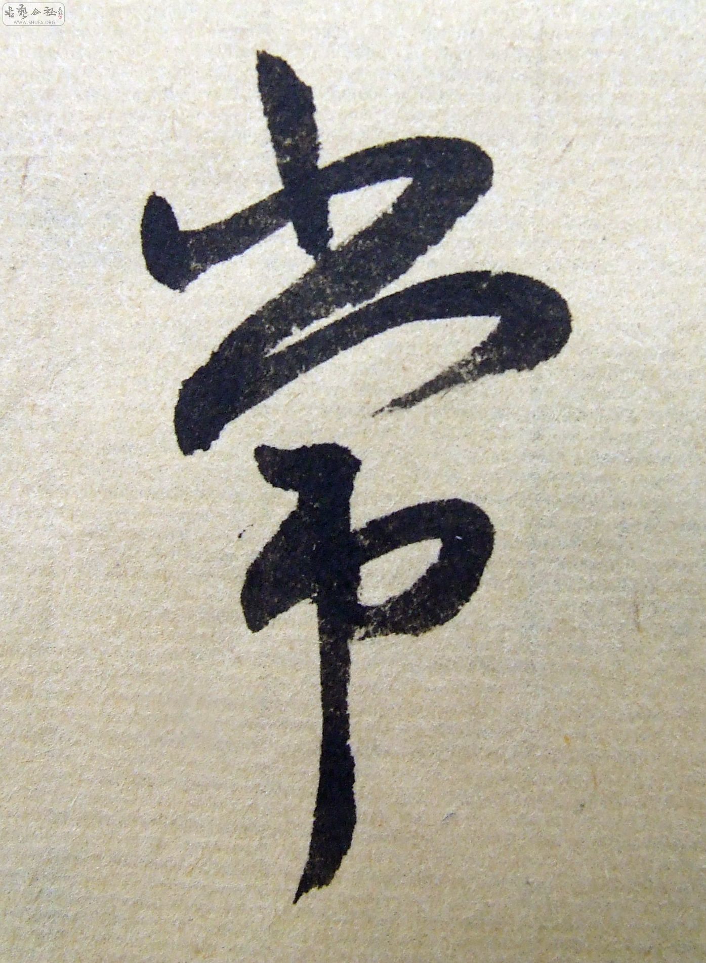 DSCF9295.JPG