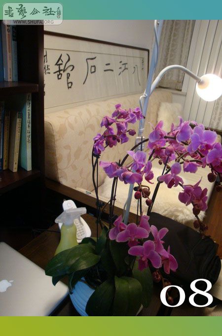 08.jpg