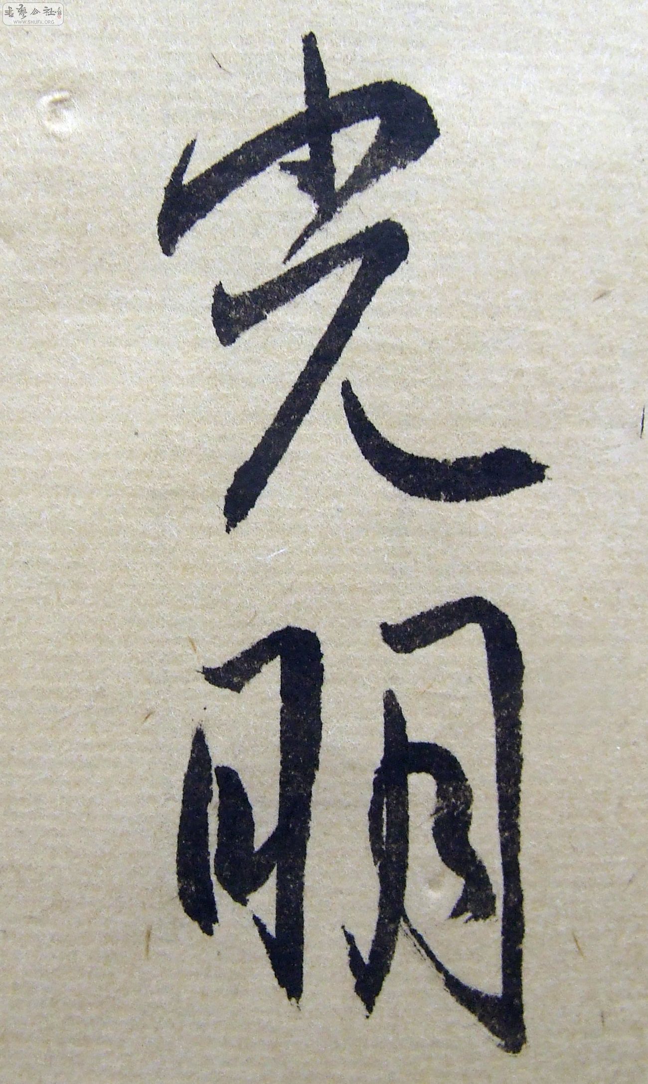 DSCF9301.JPG