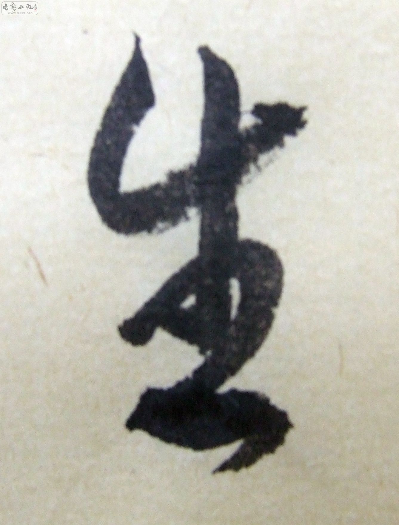 DSCF9382.JPG