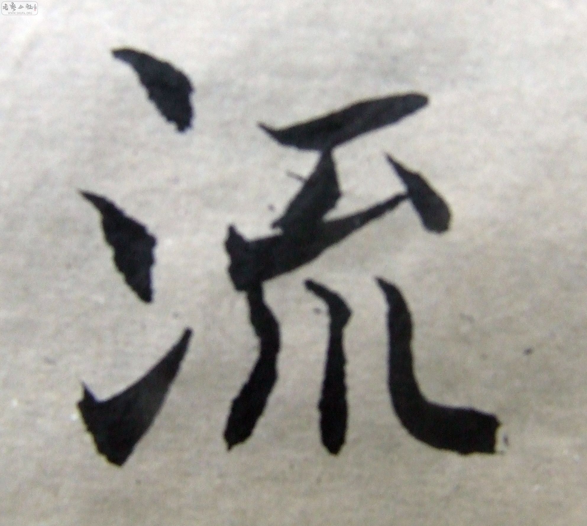 DSCF9353.JPG