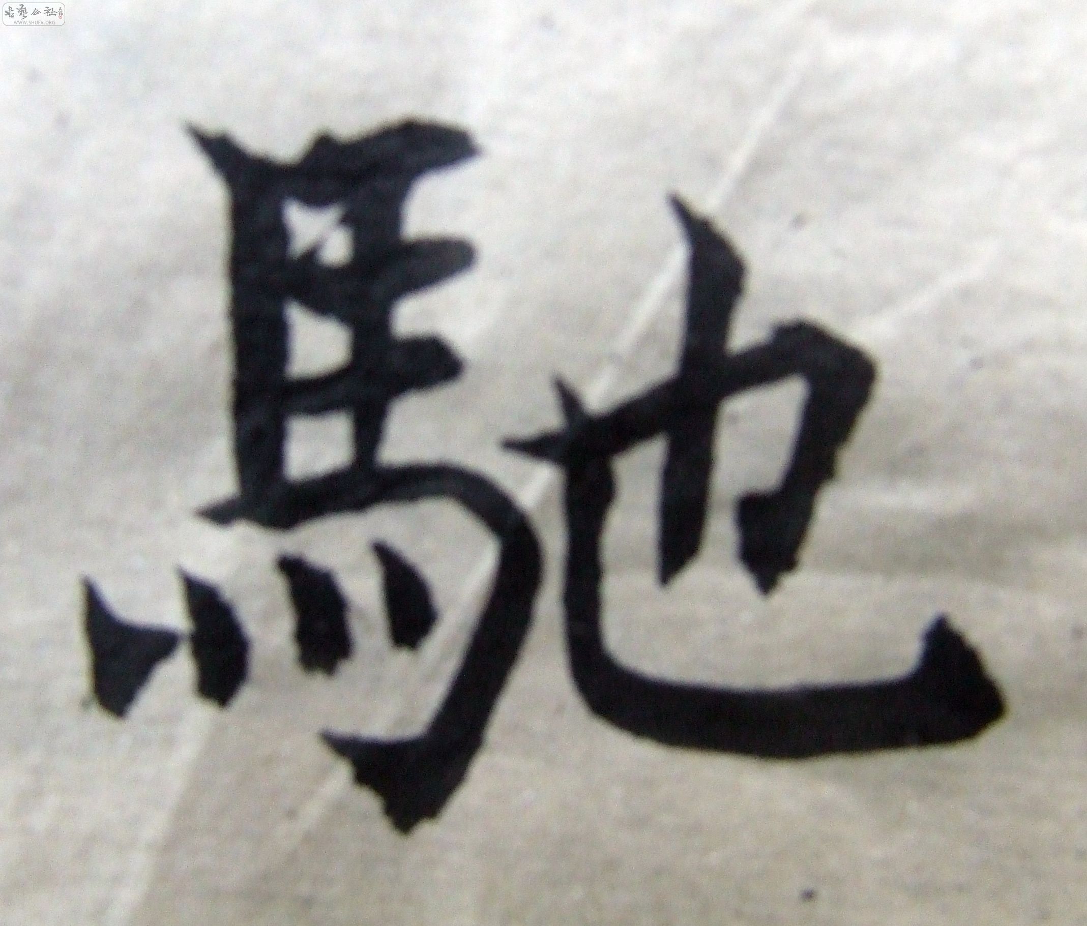 DSCF9354.JPG