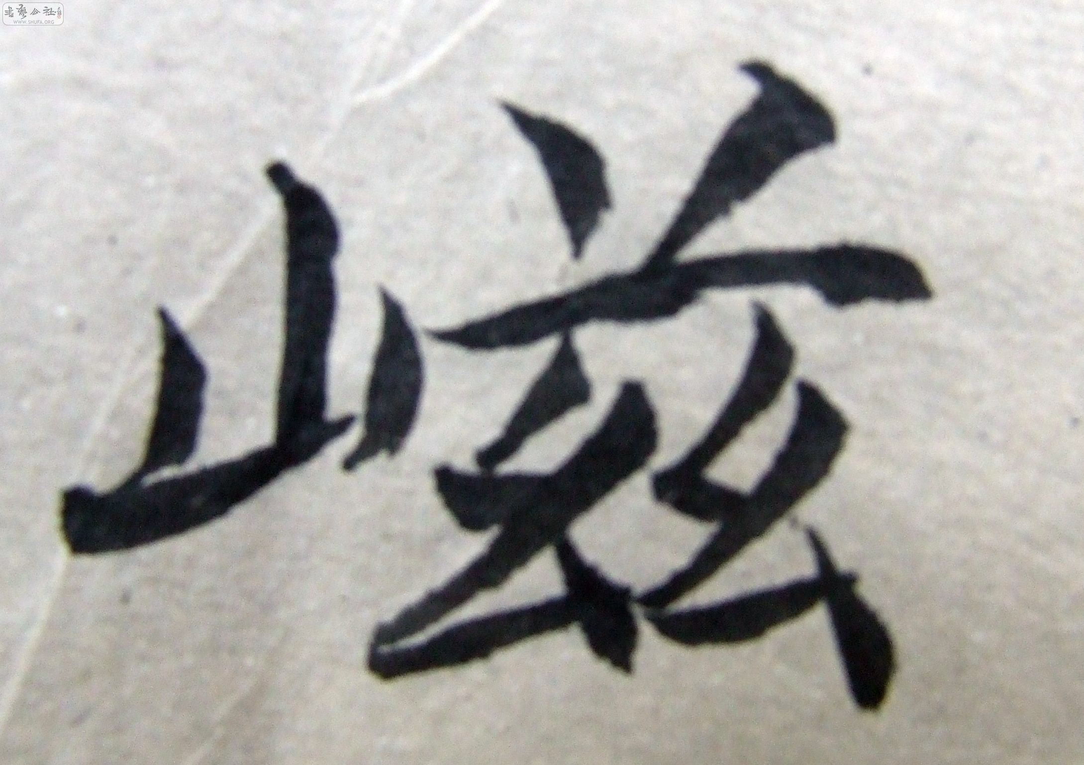 DSCF9351.JPG