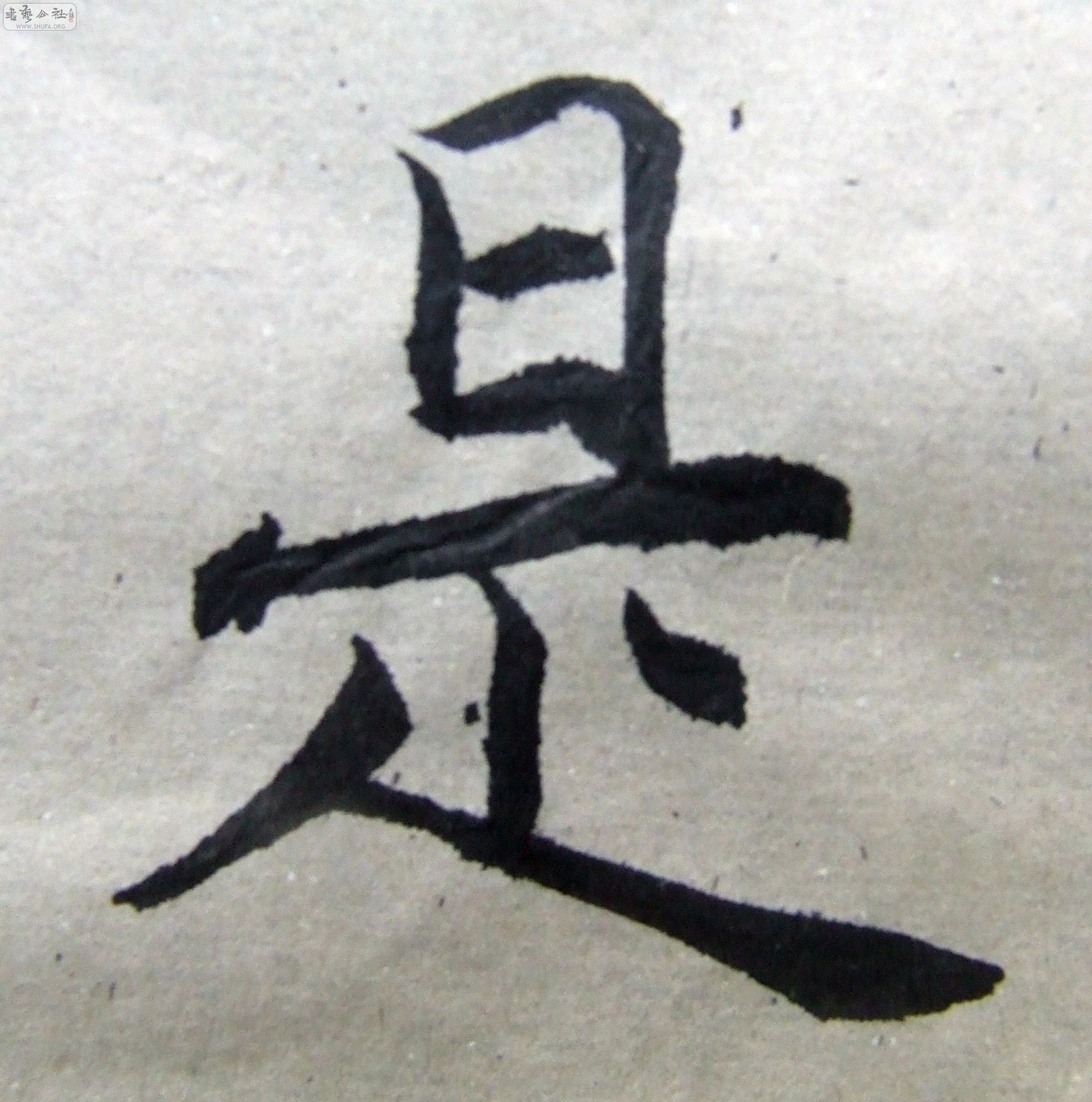 DSCF9357.JPG