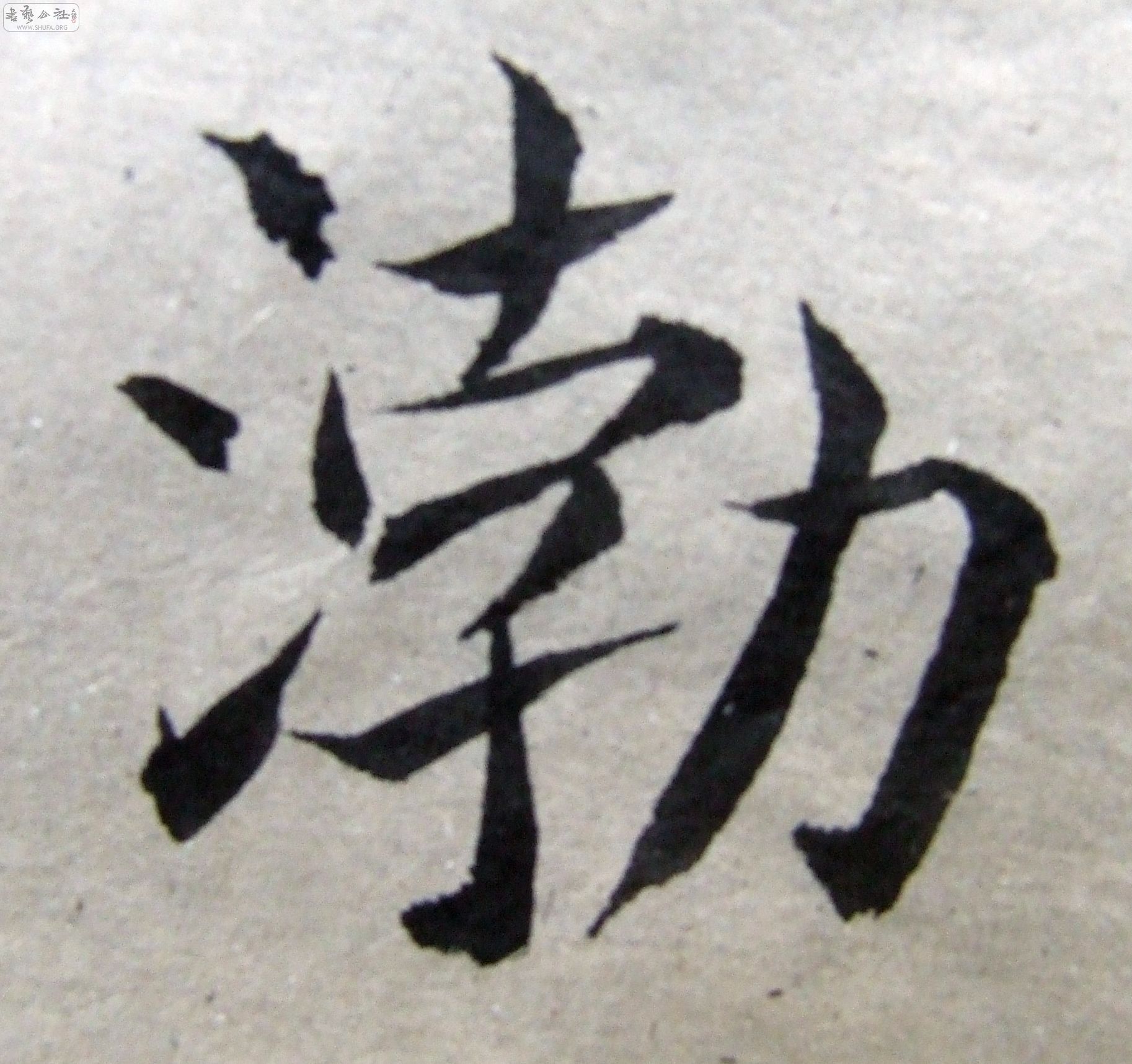DSCF9355.JPG