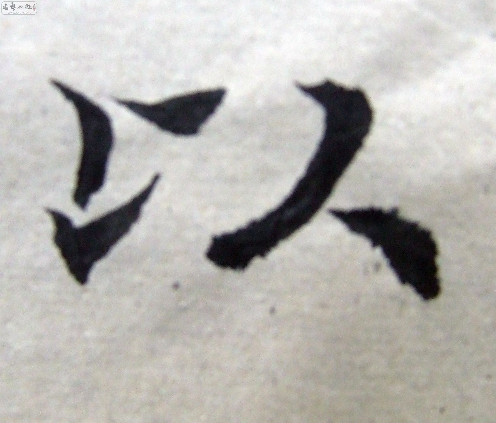 DSCF9358.JPG