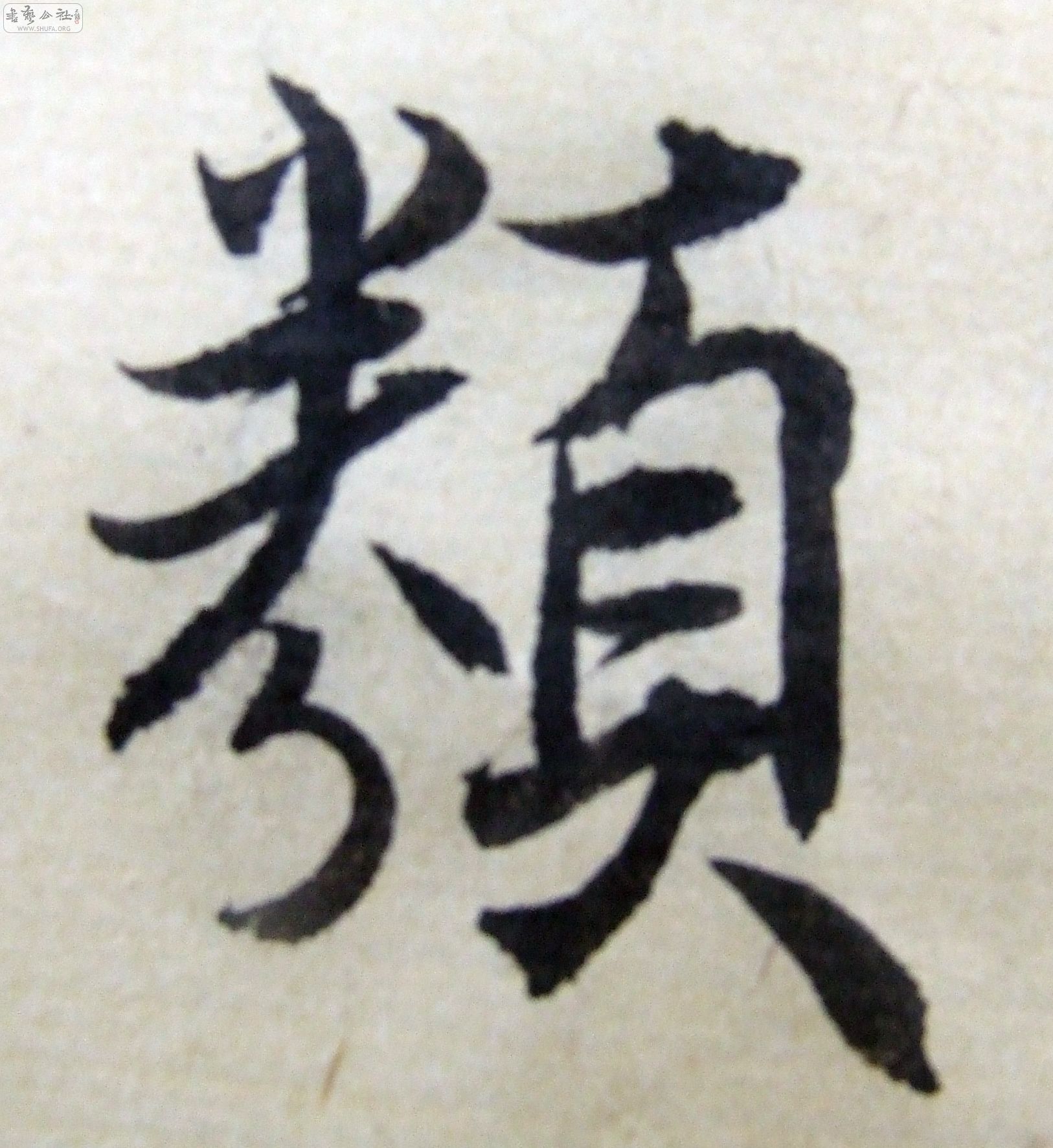 DSCF9381.JPG