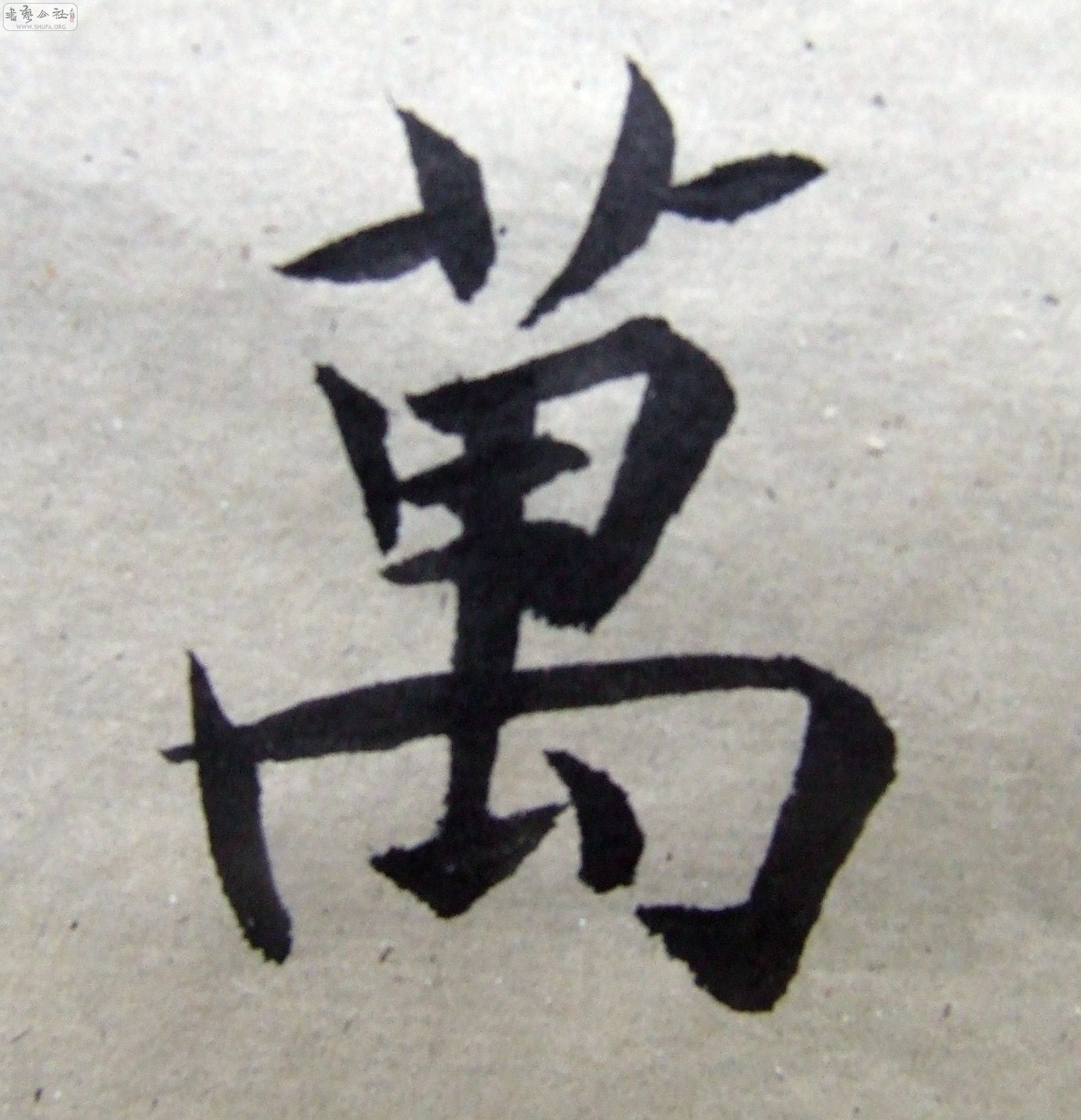 DSCF9369.JPG