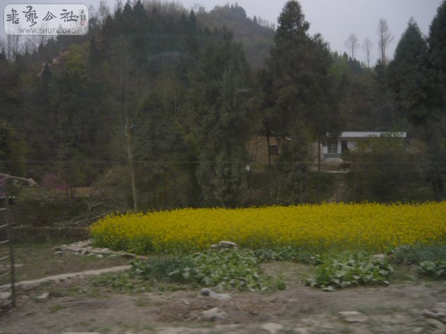 P1070878.JPG