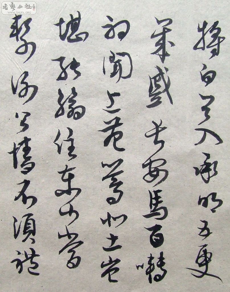 DSCF9393.JPG