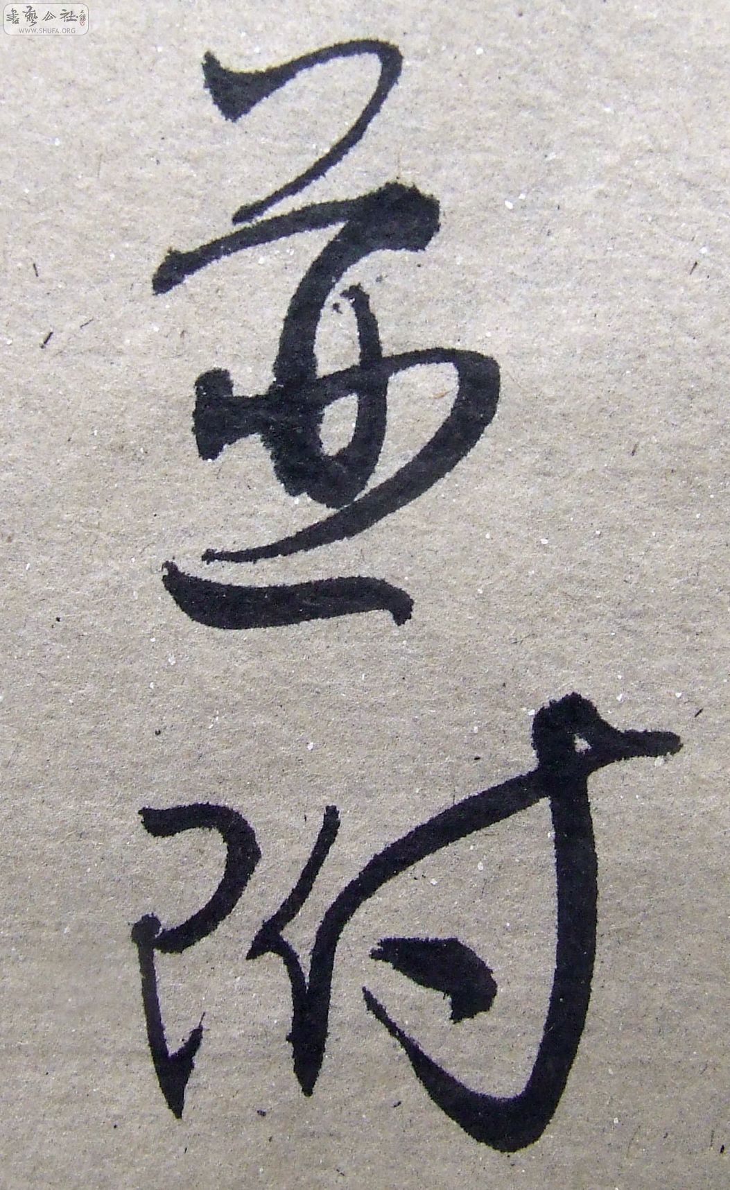 DSCF9462.JPG