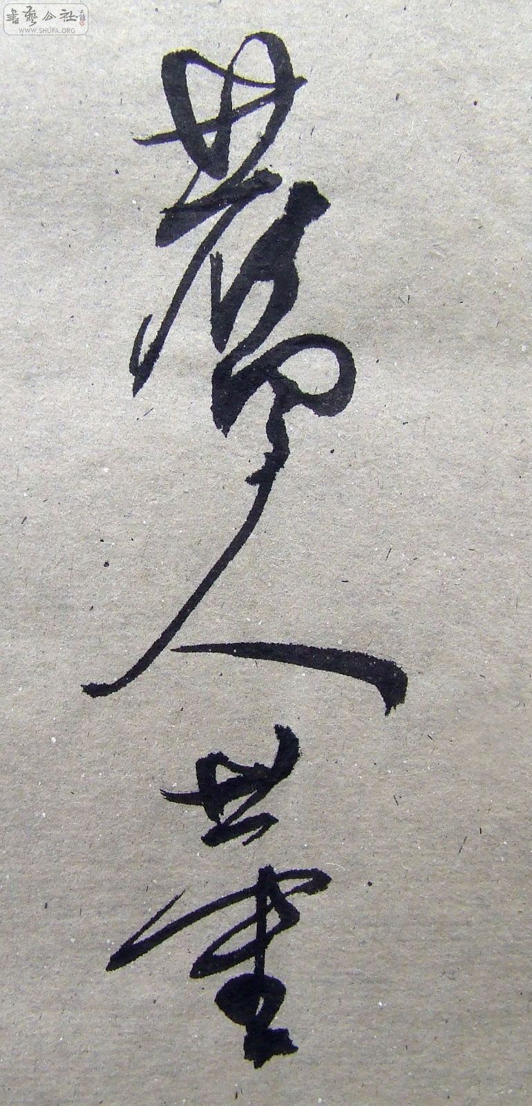 DSCF9460.JPG