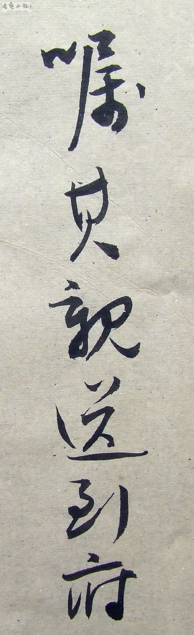 DSCF9471.JPG