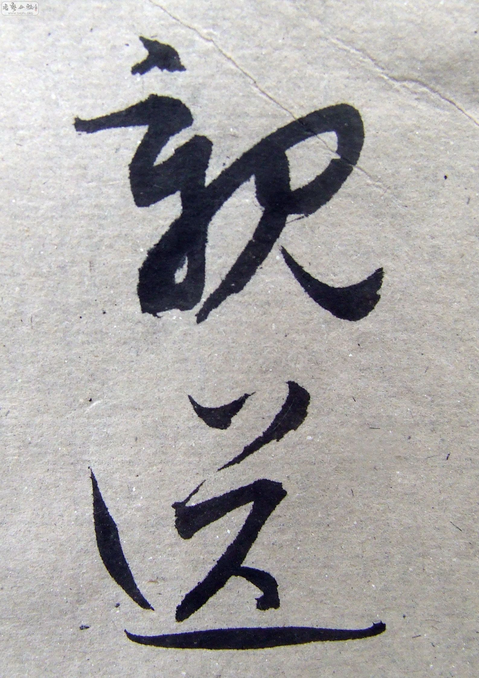 DSCF9474.JPG