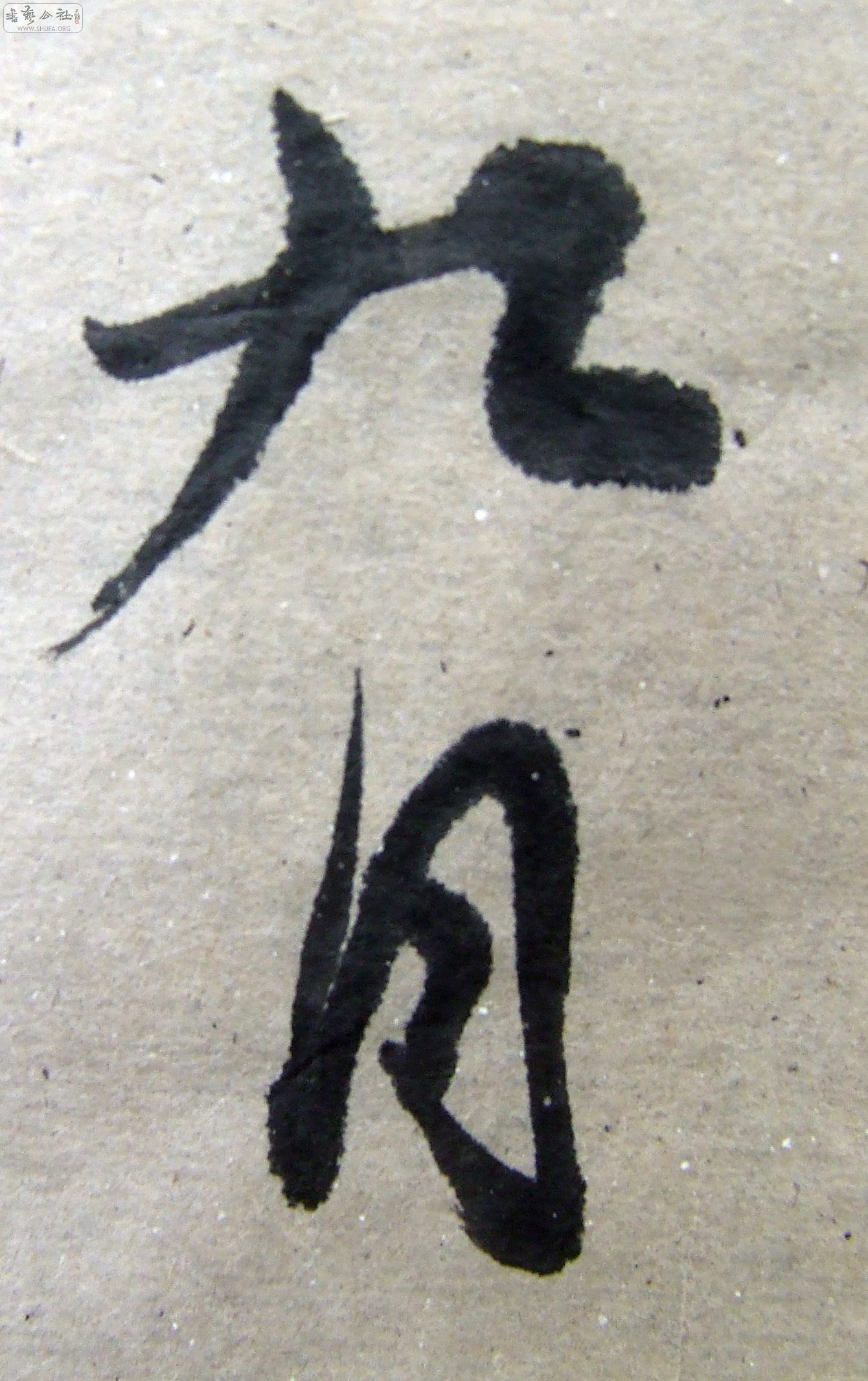 DSCF9483.JPG