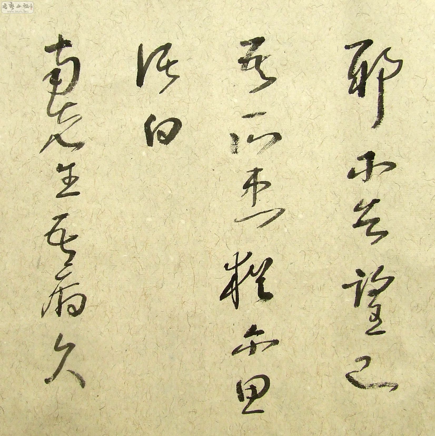 DSCF9875.JPG