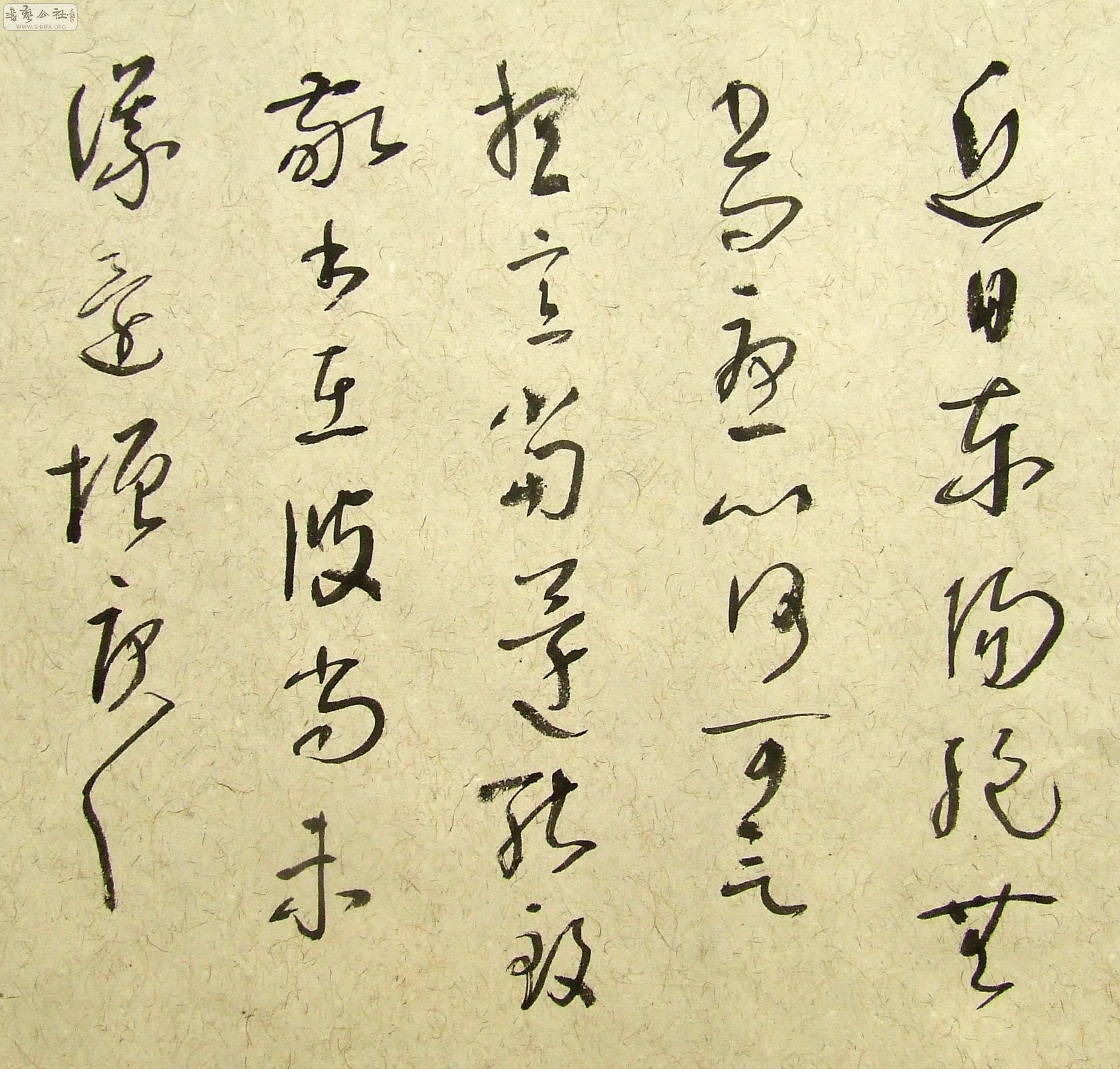 DSCF9878.JPG