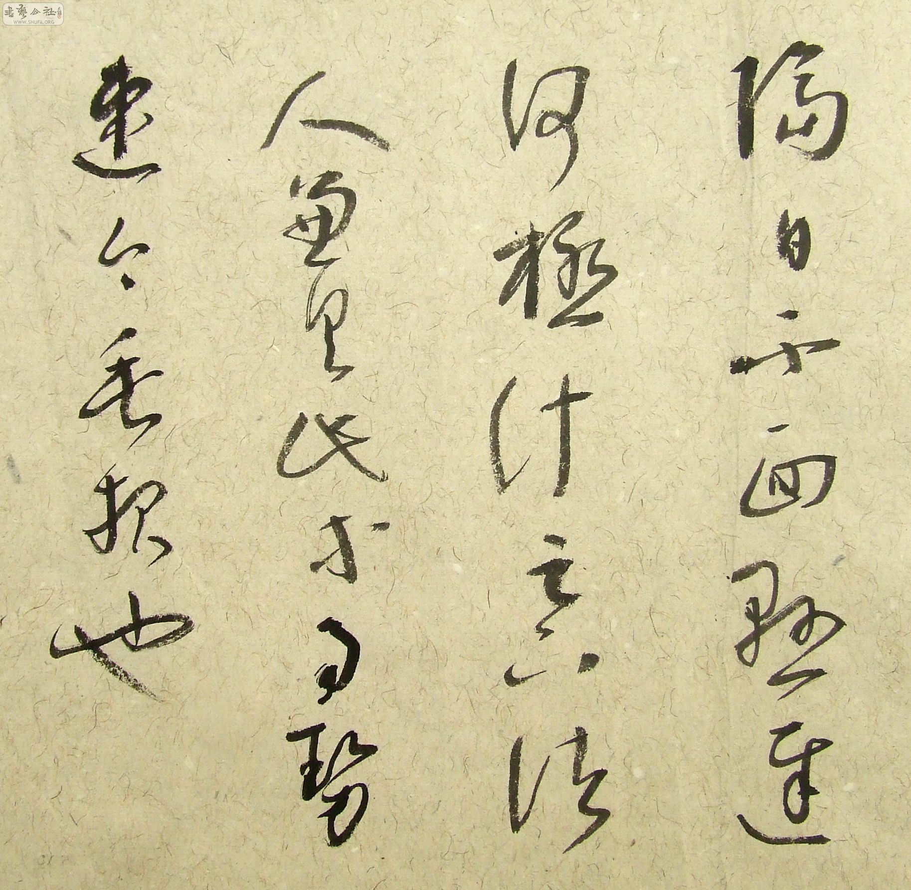 DSCF9879.JPG