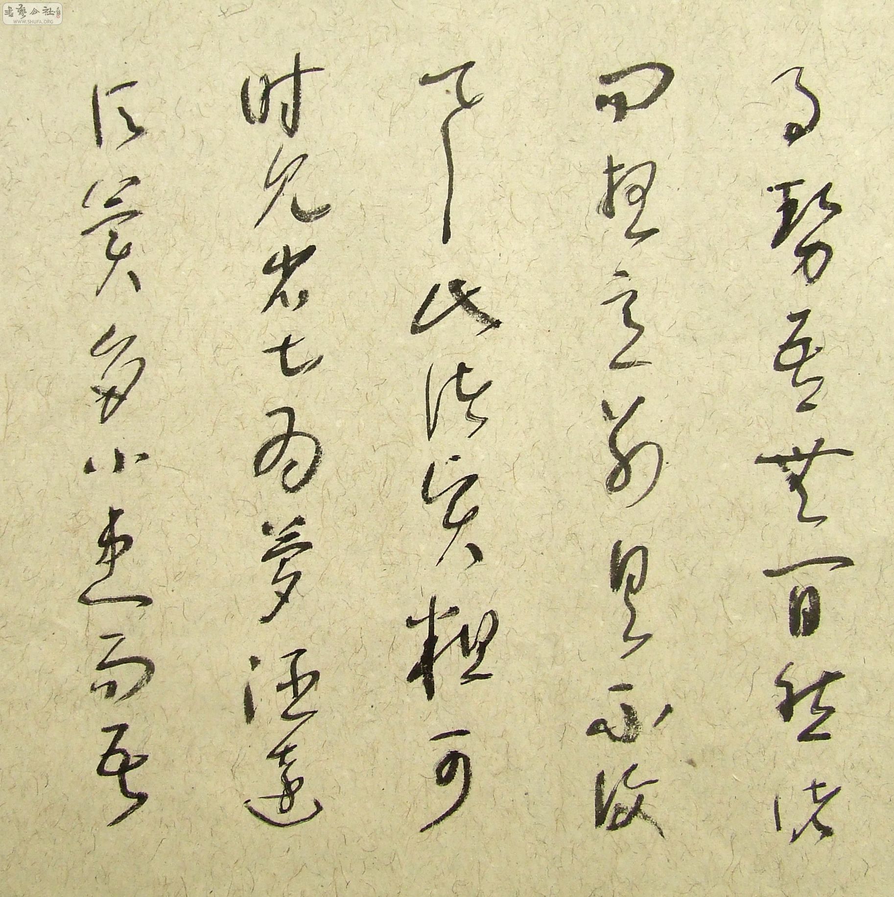 DSCF9880.JPG