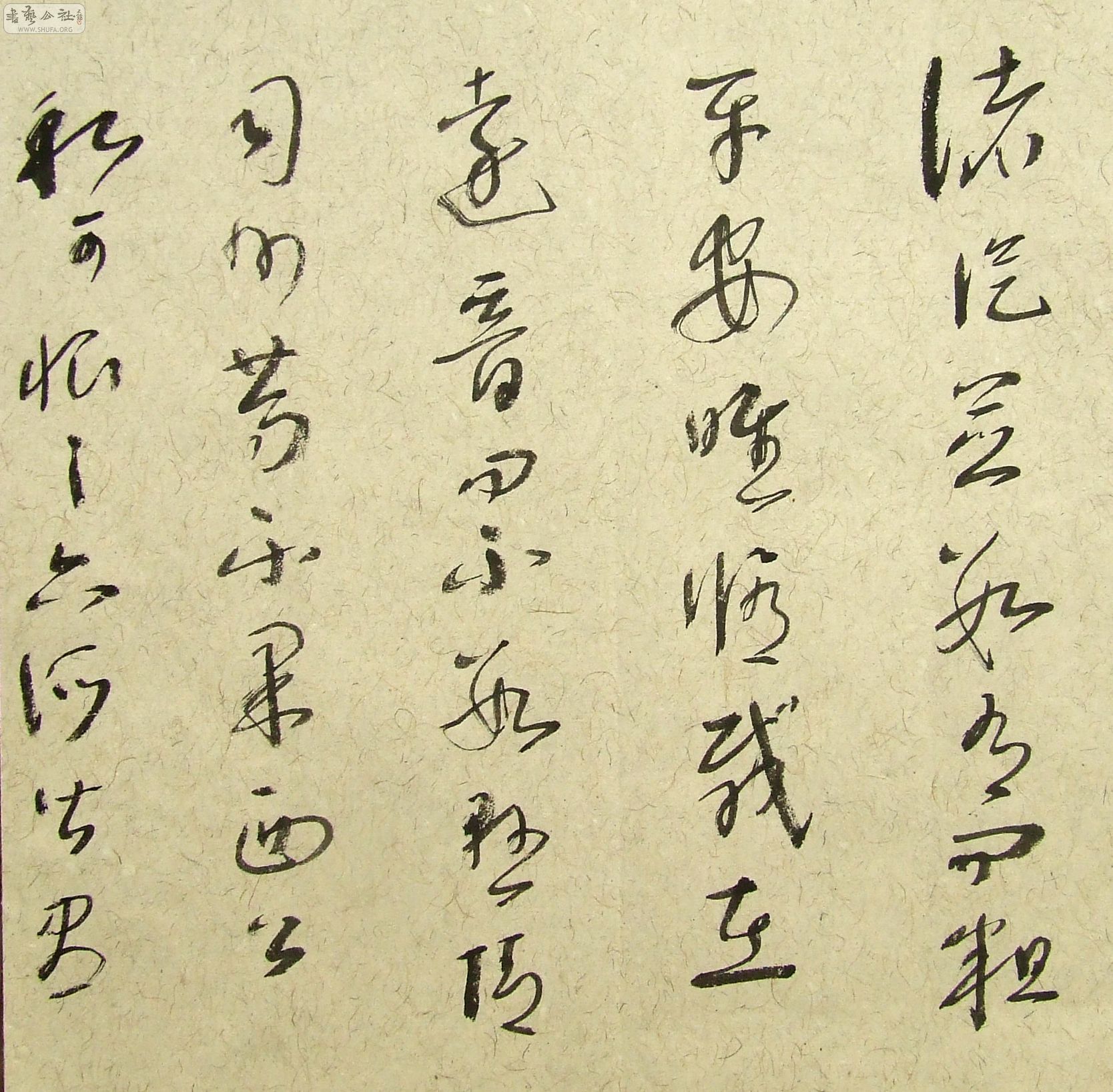DSCF9881.JPG