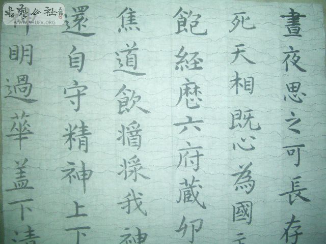 CIMG8404.JPG