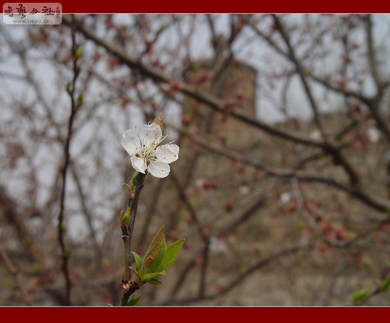 DSC08722.JPG