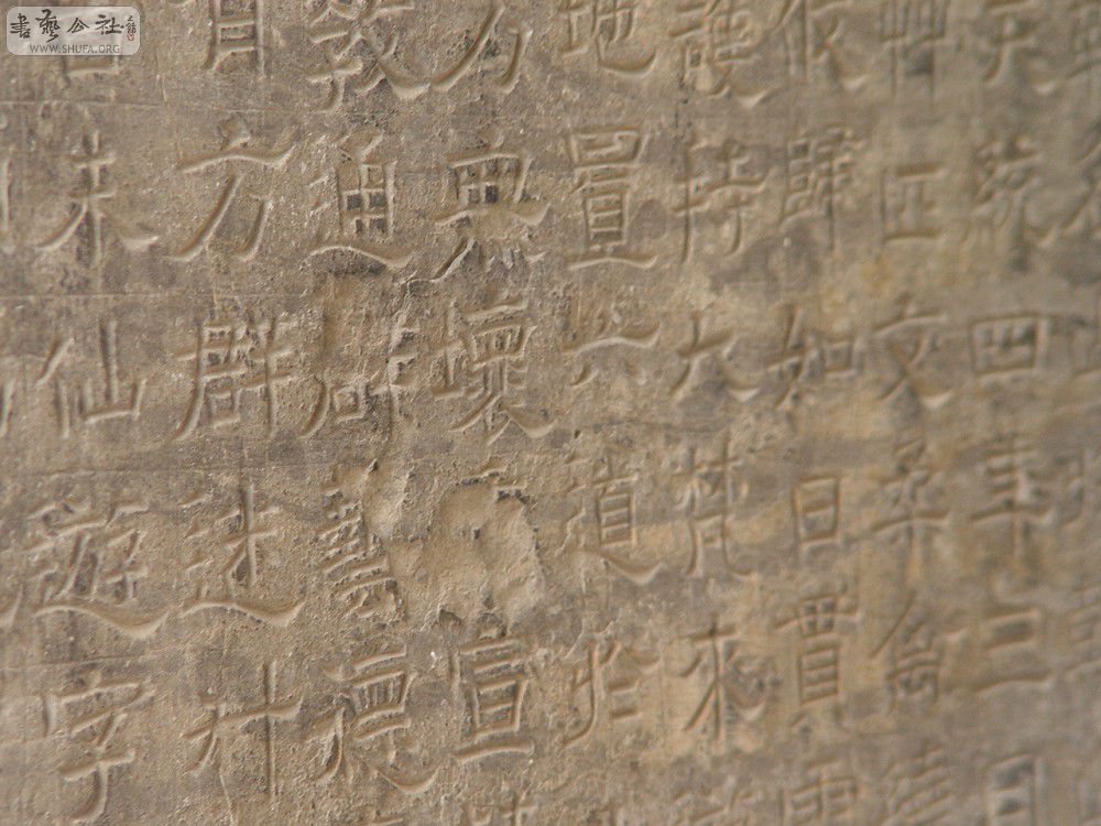 DSC08788.JPG