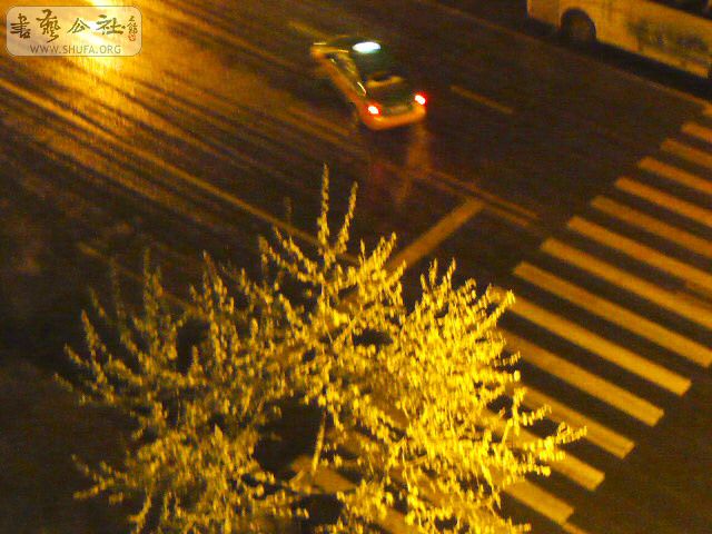P1080673.jpg