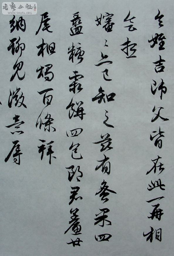 DSC08685.JPG