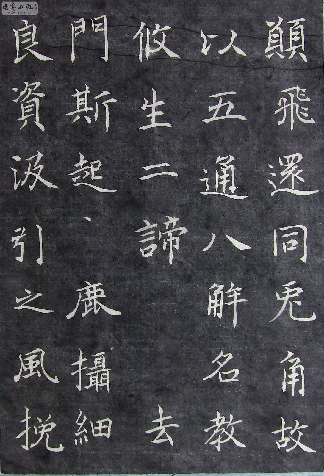 DSCF0520.JPG