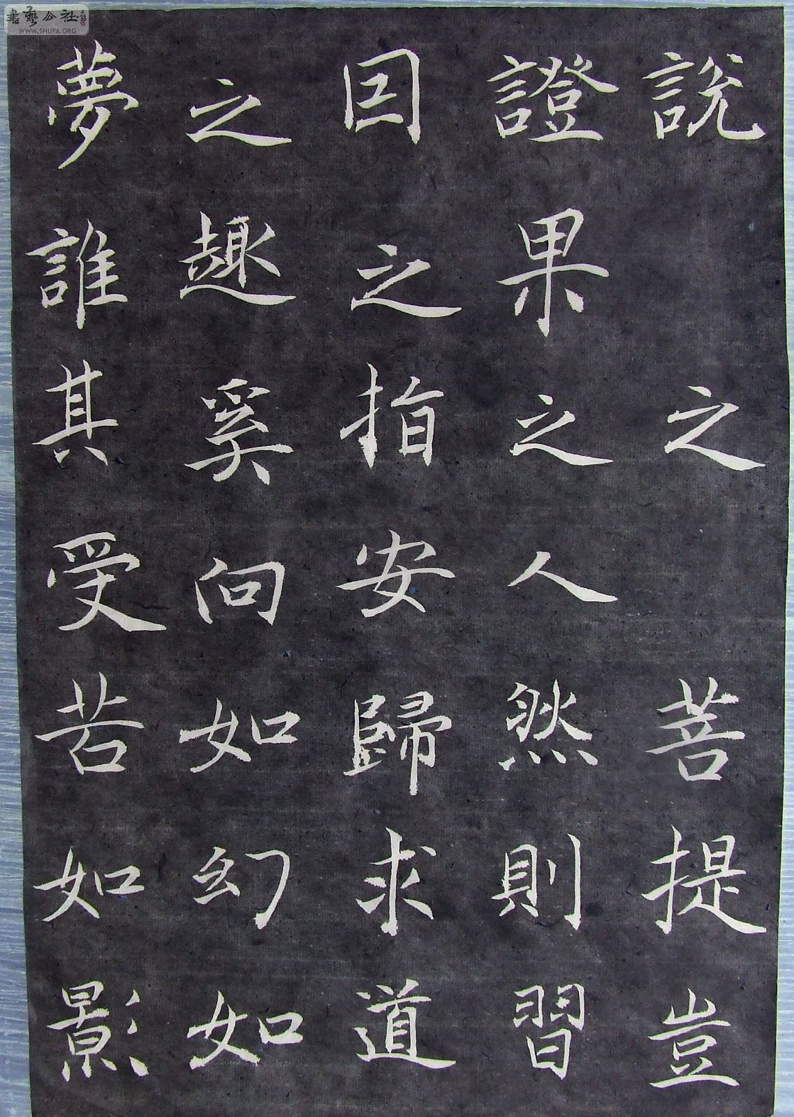 DSCF0522.JPG