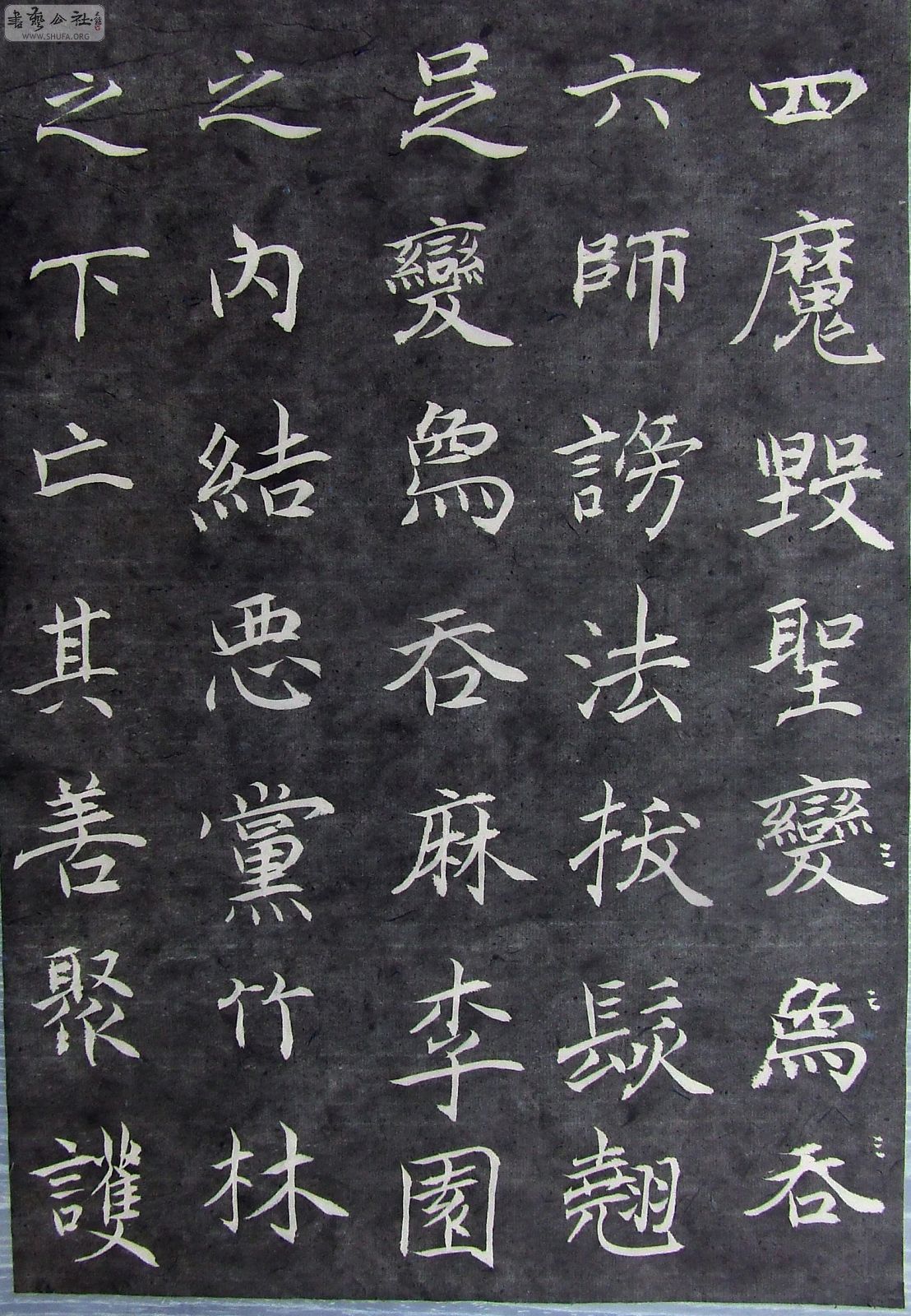 DSCF0525.JPG