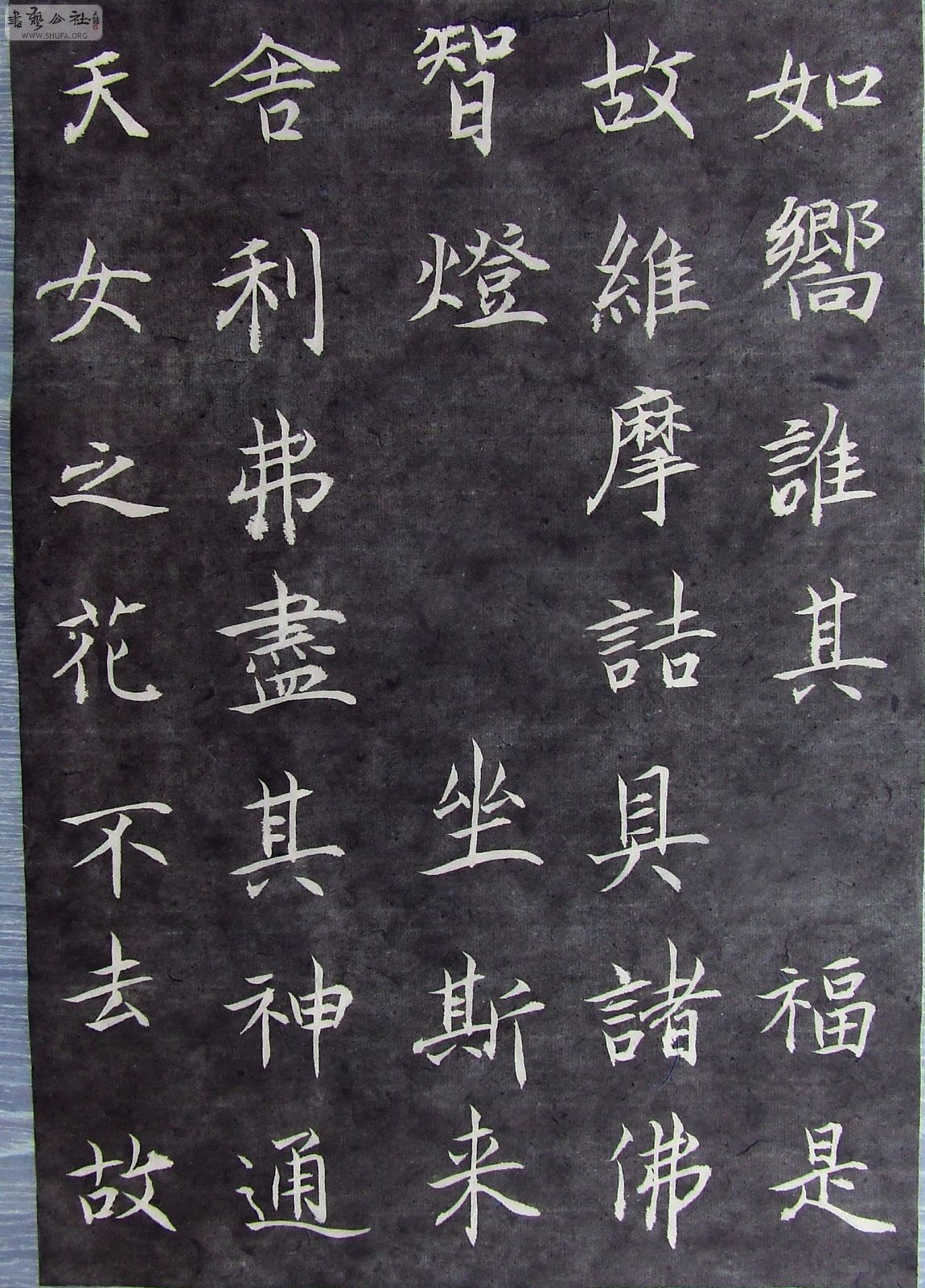 DSCF0523.JPG